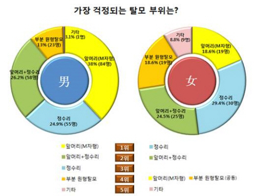 ��� ���� ���� �̹���