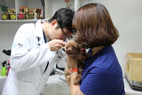 ��� ���� ���� �̹���