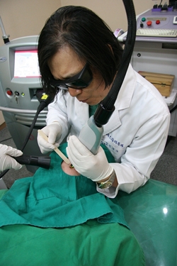 ��� ���� ���� �̹���