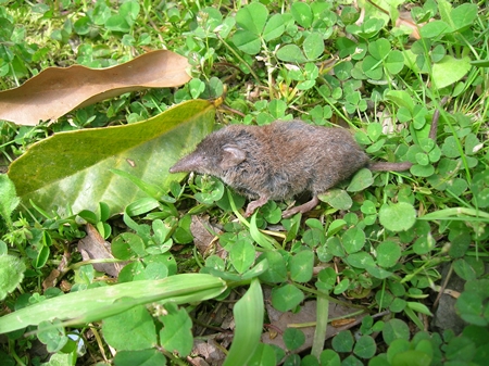 ��� ���� ���� �̹���