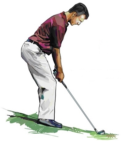 ��� ���� ���� �̹���