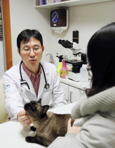 ��� ���� ���� �̹���