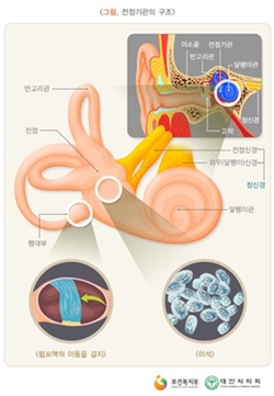 ��� ���� ���� �̹���