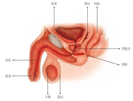 ��� ���� ���� �̹���