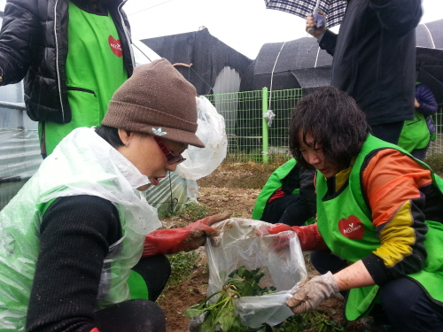 ��� ���� ���� �̹���