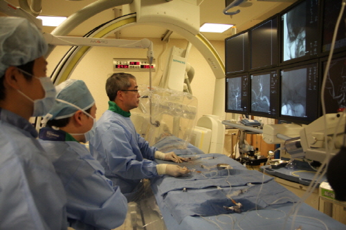 ��� ���� ���� �̹���