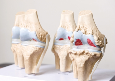 ��� ���� ���� �̹���