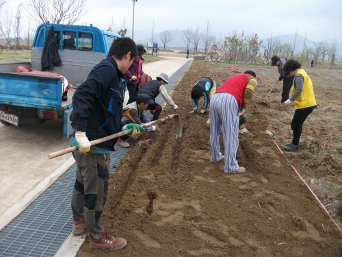 ��� ���� ���� �̹���