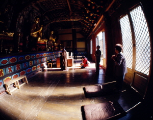 ��� ���� ���� �̹���