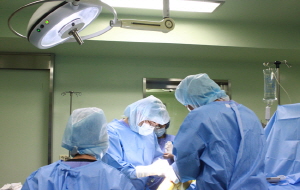 ��� ���� ���� �̹���