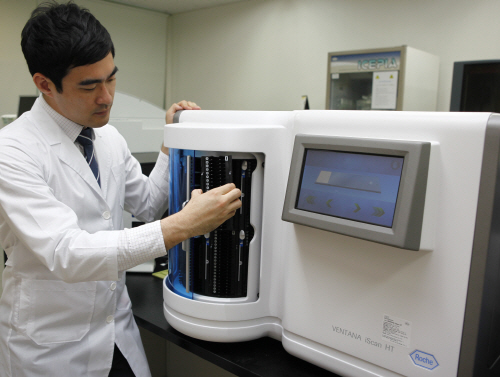 ��� ���� ���� �̹���