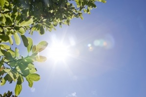 ��� ���� ���� �̹���