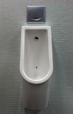 ��� ���� ���� �̹���