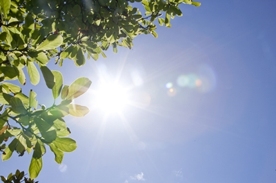 ��� ���� ���� �̹���