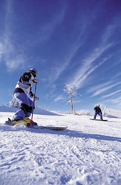 ��� ���� ���� �̹���