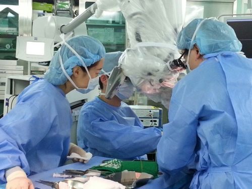 ��� ���� ���� �̹���