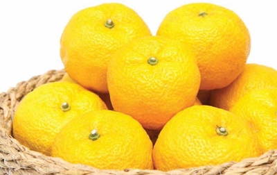 ��� ���� ���� �̹���