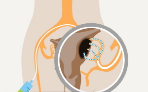 ��� ���� ���� �̹���