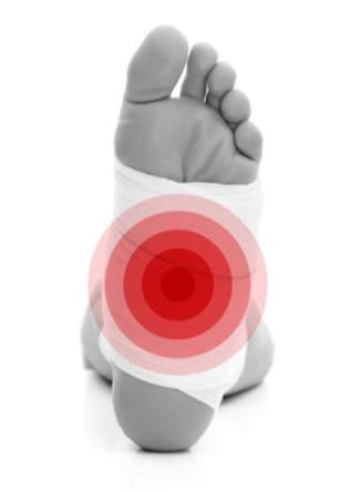 ��� ���� ���� �̹���