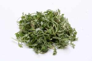 ��� ���� ���� �̹���