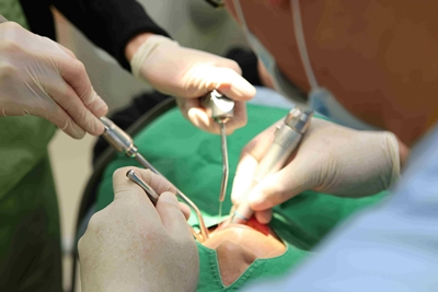 ��� ���� ���� �̹���