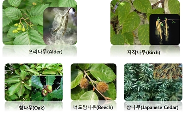 ��� ���� ���� �̹���