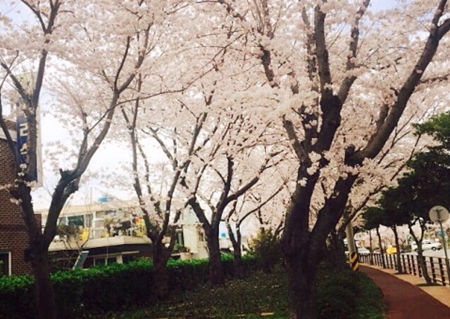 ��� ���� ���� �̹���