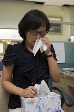 ��� ���� ���� �̹���