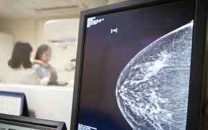 ��� ���� ���� �̹���