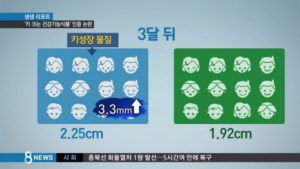 ��� ���� ���� �̹���