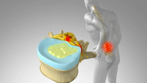 ±â»ç ³»¿ë »ðÀÔ À̹ÌÁö