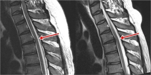 ��� ���� ���� �̹���