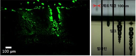 ��� ���� ���� �̹���