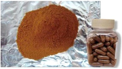 ��� ���� ���� �̹���