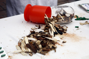 ��� ���� ���� �̹���