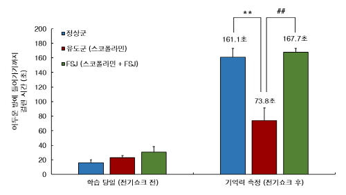 ��� ���� ���� �̹���