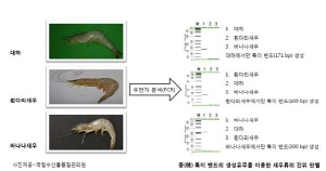 ��� ���� ���� �̹���