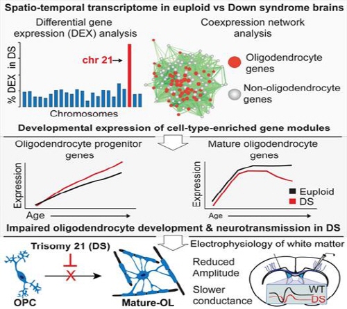 ��� ���� ���� �̹���