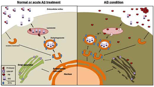 ��� ���� ���� �̹���
