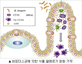 ��� ���� ���� �̹���