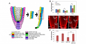��� ���� ���� �̹���
