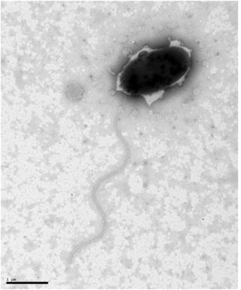 ��� ���� ���� �̹���