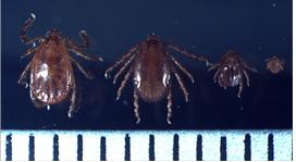 ��� ���� ���� �̹���