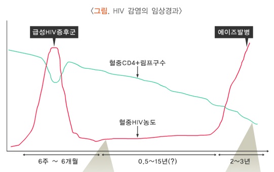 ��� ���� ���� �̹���