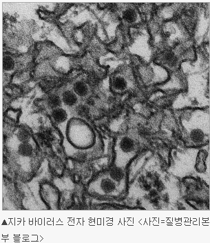 ��� ���� ���� �̹���