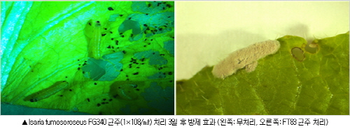 ��� ���� ���� �̹���