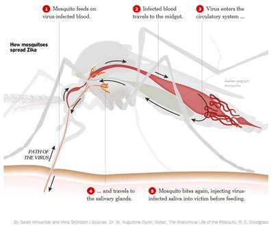 ��� ���� ���� �̹���