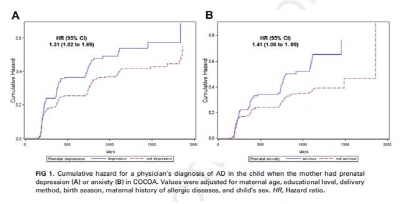 ��� ���� ���� �̹���