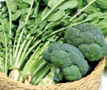 ��� ���� ���� �̹���