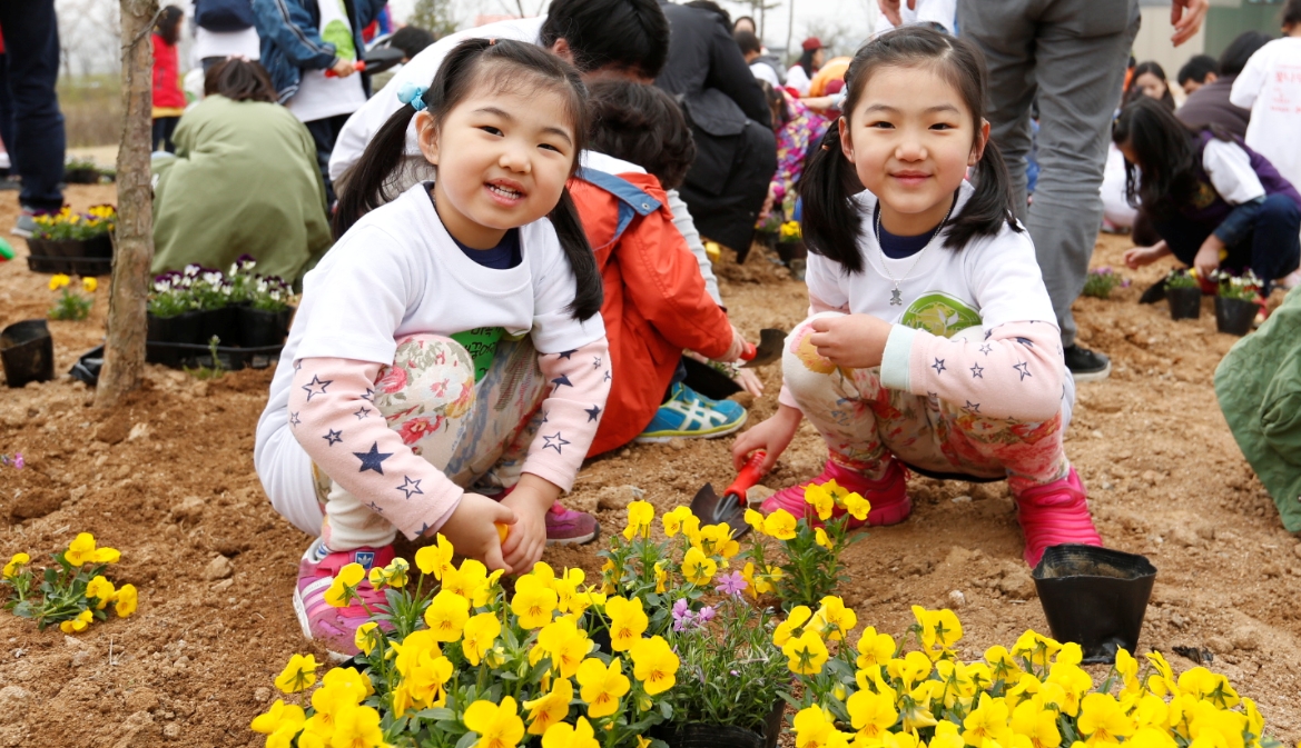 ��� ���� ���� �̹���